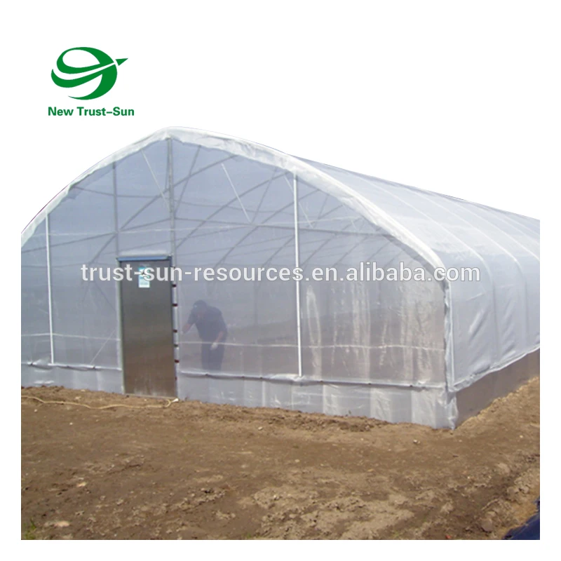 
agricultural green house aquaponics hydroponic system vertical farm plastic Single-Span greenhouse 