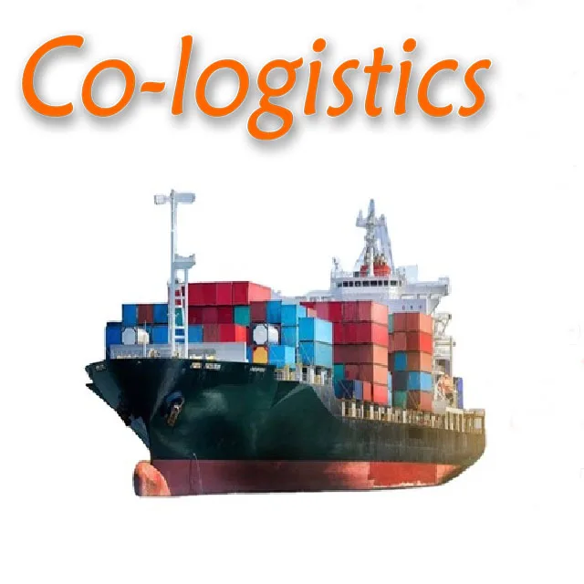 ddp door to door shipping from China to United Arab Emirates/UAE sea+truck shipping
