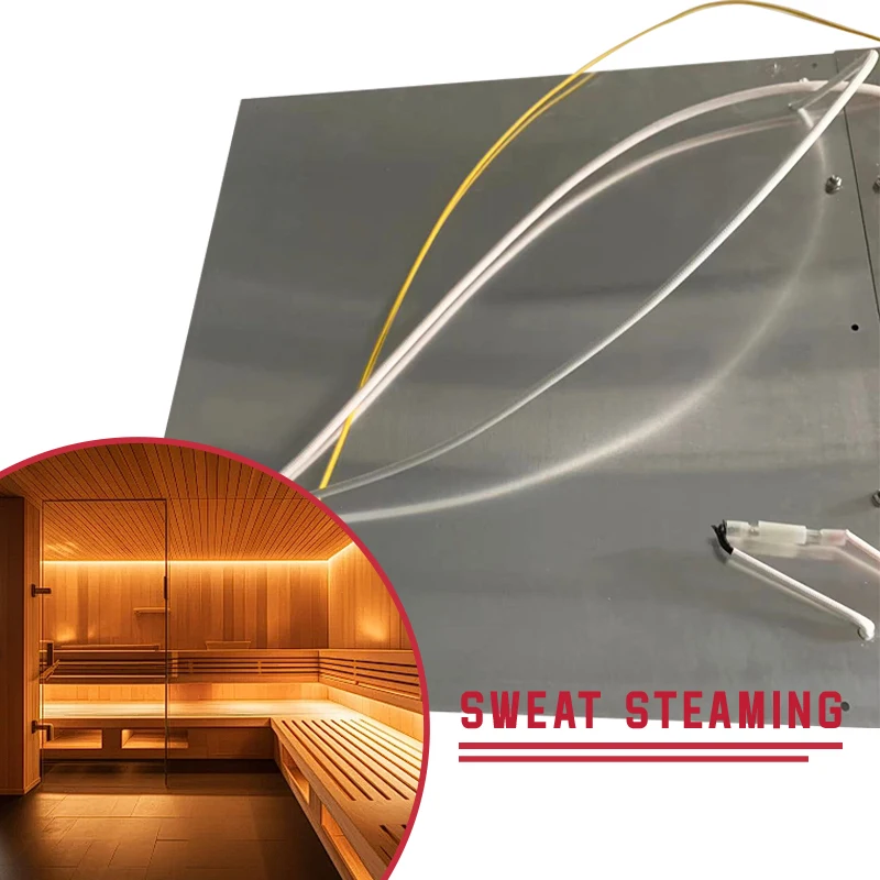 Hot Selling 220V Far-Infrared Heating Aluminum Plate Heated for Outdoor Household RV Sauna Steam Room