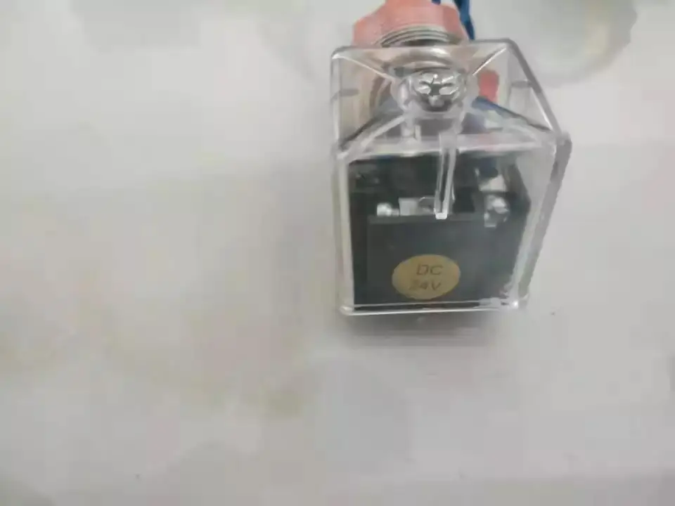 10160911 Schwing Concrete Pump Magnetic Coil 12v 24v Solenoid Valve Valvula Solenoide 24V pulsar