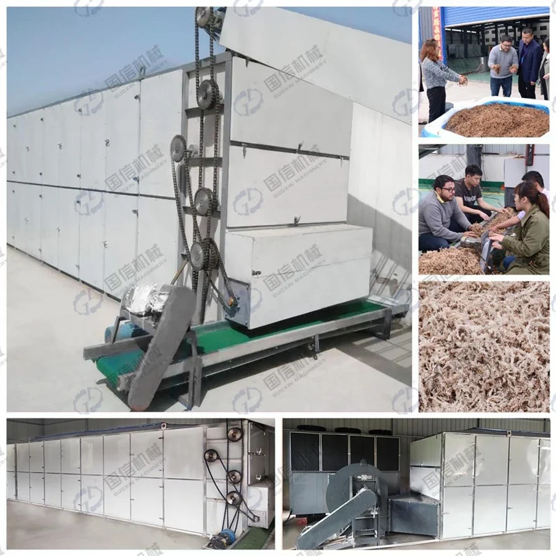 
Wholesale price melon Pumpkin seeds drying equipment 