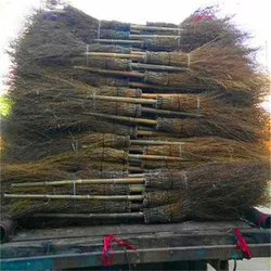 Wy-J203 bamboo broom raw material wholesale