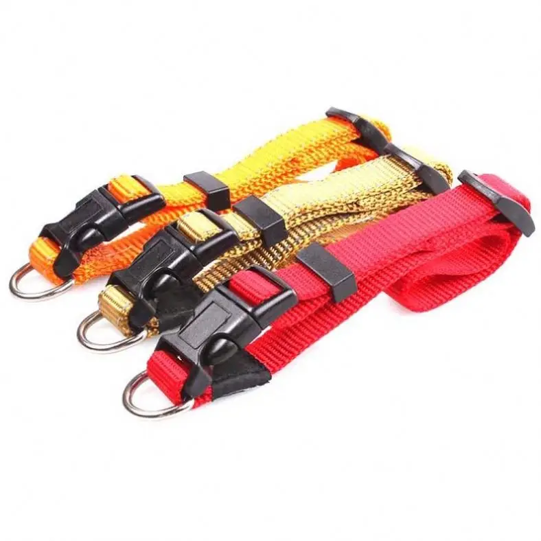 High Quality Low Price China Factory Price Dog Collars Nylon Web