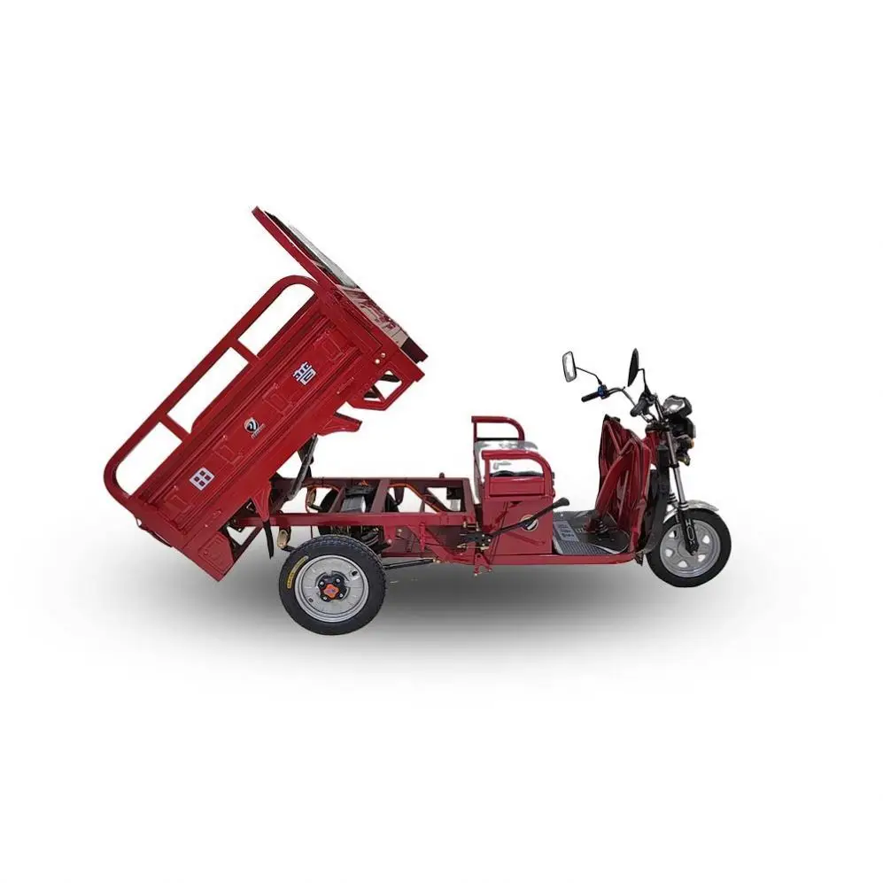 Well 1.5M Trike 300cc 60V Electric 3 Wheel Motorcycles for Adults Cargo Bike 1000kw Gn 125 Motorcycle