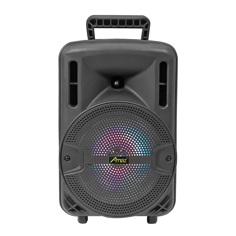 AMAZ 15 Inch New Design Portable Speaker with USB/FM/SD card/BT/LED Display/Remote Control