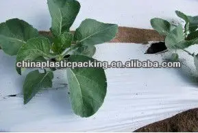 
PE agriculture micro perforated mulch film 