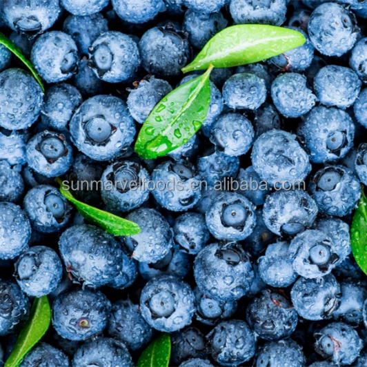 Factory Price Frozen fruits The best Frozen blueberries in Best Sellers from China