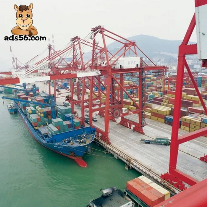 Activated carbon from China DDP Sea  shipping to UAE/Europe/USA door-to-door service