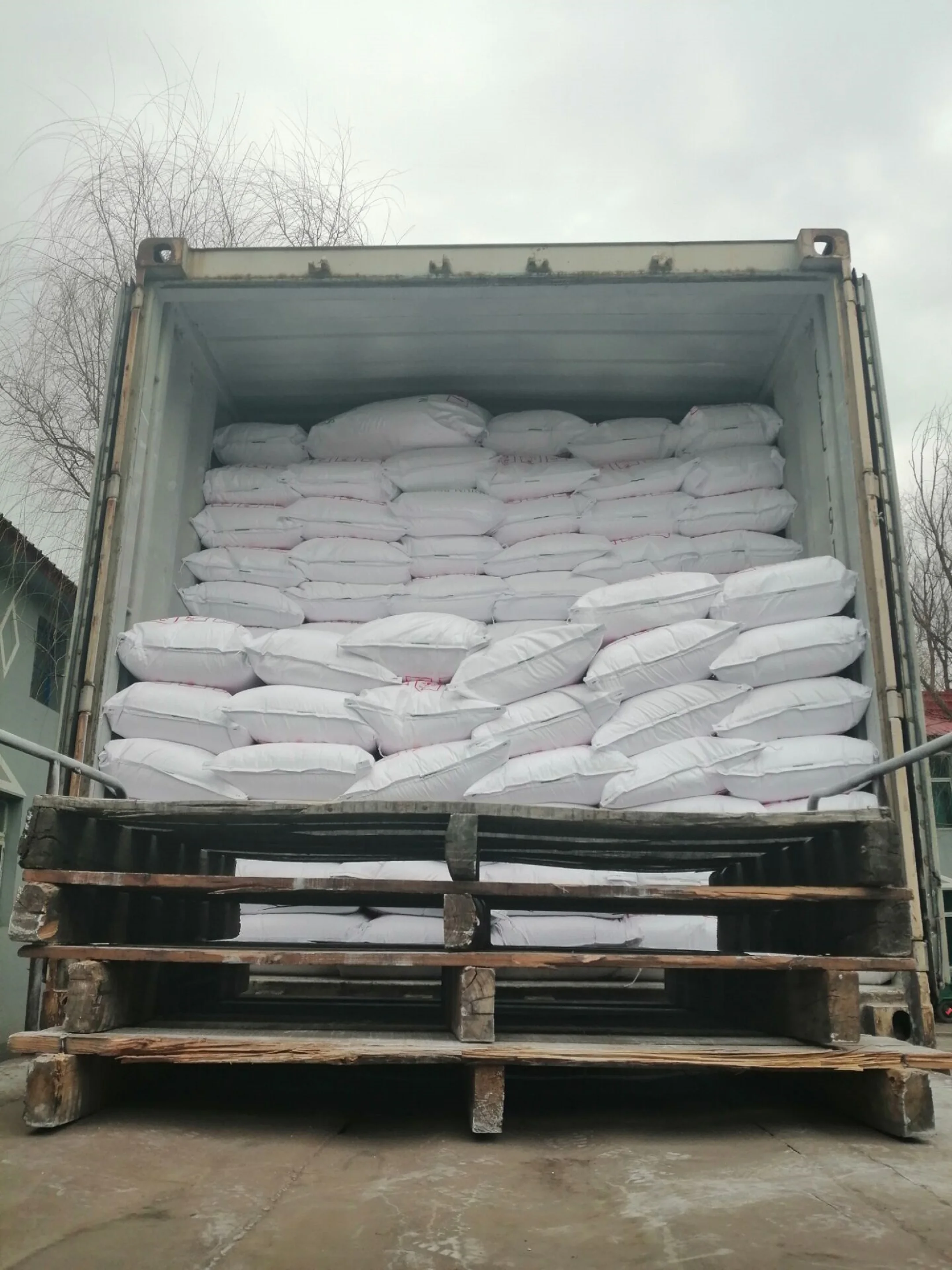 sodium benzoate noodle 4.jpg