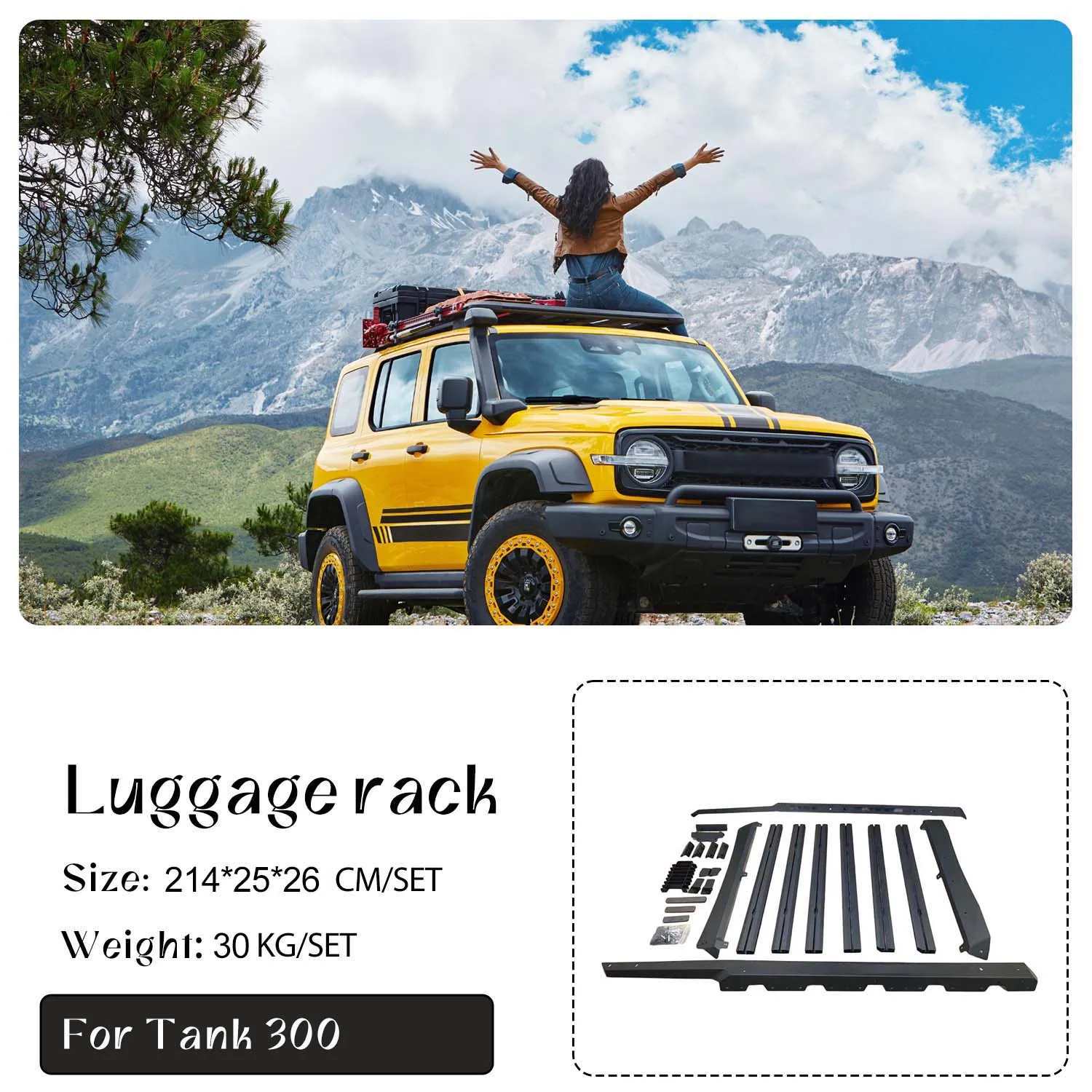 Steel Aluminum roof rack for Chinese Car GWM tank 300 luggage carrier for Car tank300 modified parts