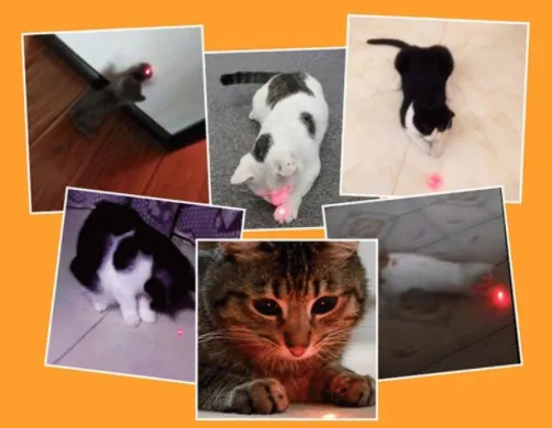 2 in 1 LED Laser Pointer Cat Interactive Toy USB red Light Cat Mouse Chasing Toy Funny Electric Cat Toys with metal keychain