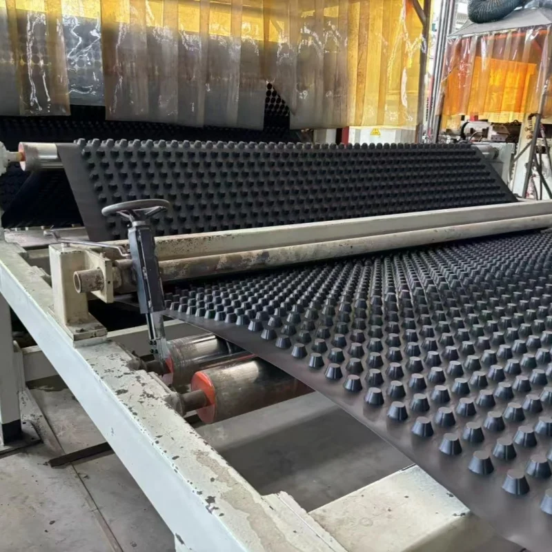 Китай HDPE композитный дренаж высокого полистирола дренажная пластиковая доска