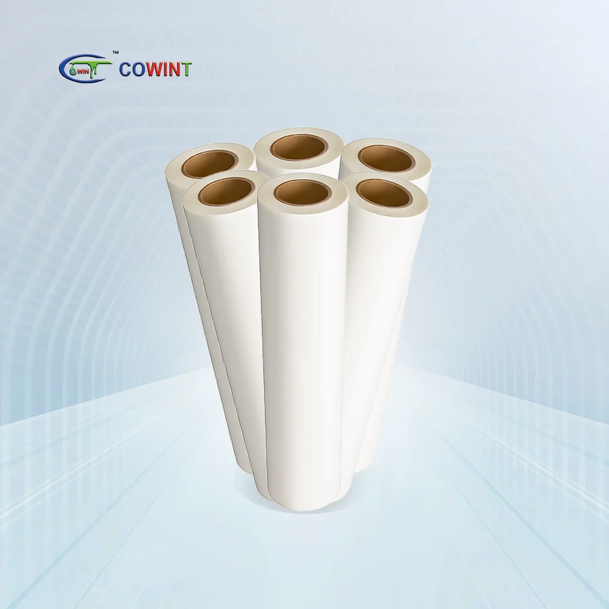 Cowint a3 a4 sheeet 30cm etc dtf roll pet film printer printable digital printing heat transfer paper design pet dtf film