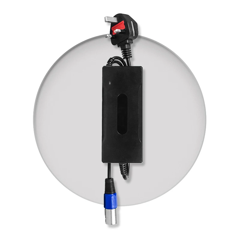 Full Spec 3.7V 6V 7.4V 12V 24V 36V 48V 60V 72V 84V 96V Battery Charger Lithium Li-ion For Electric Scooter Li Ion Battery