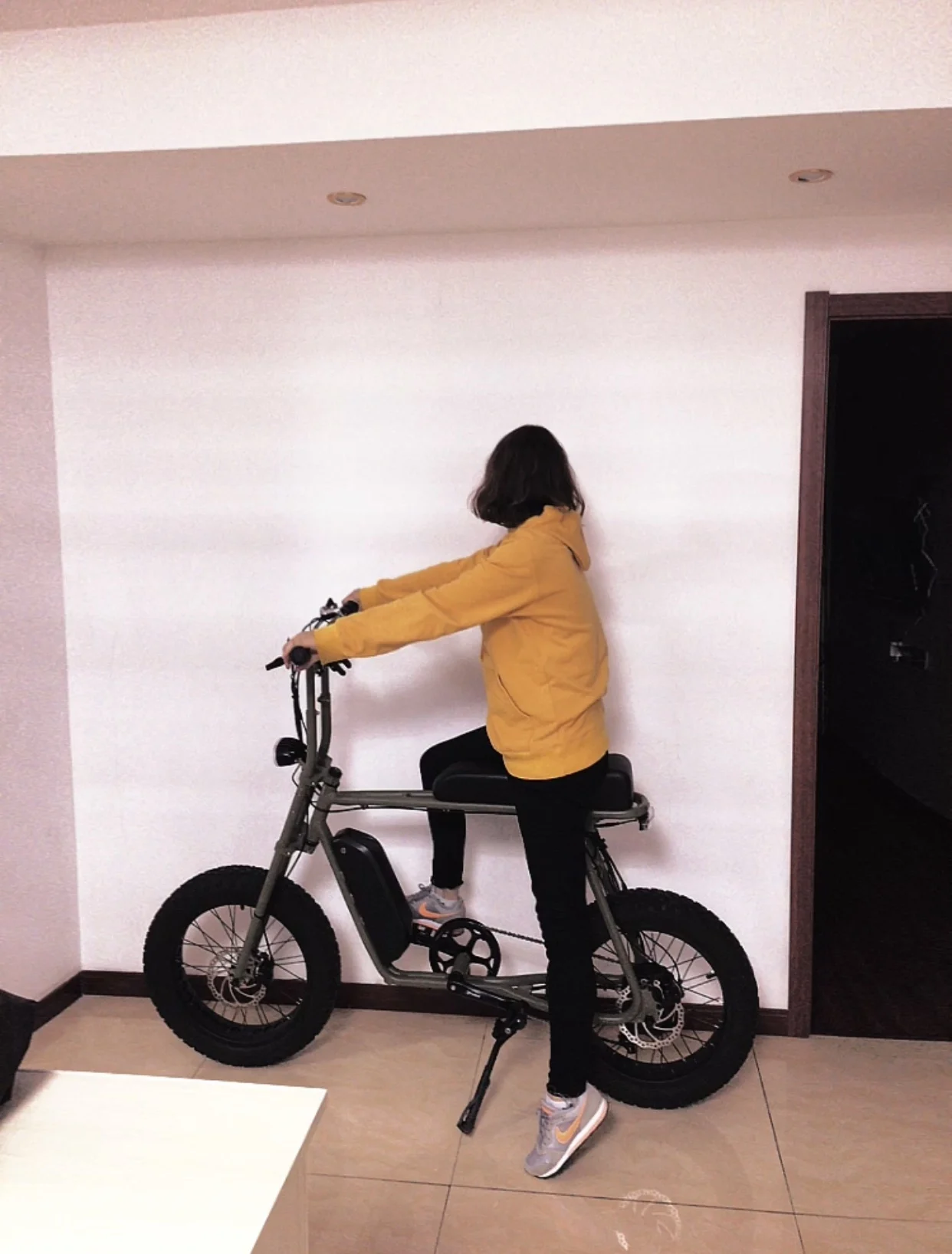  1000 Вт Bafang мотор эпицентра EBike с передней подвеской