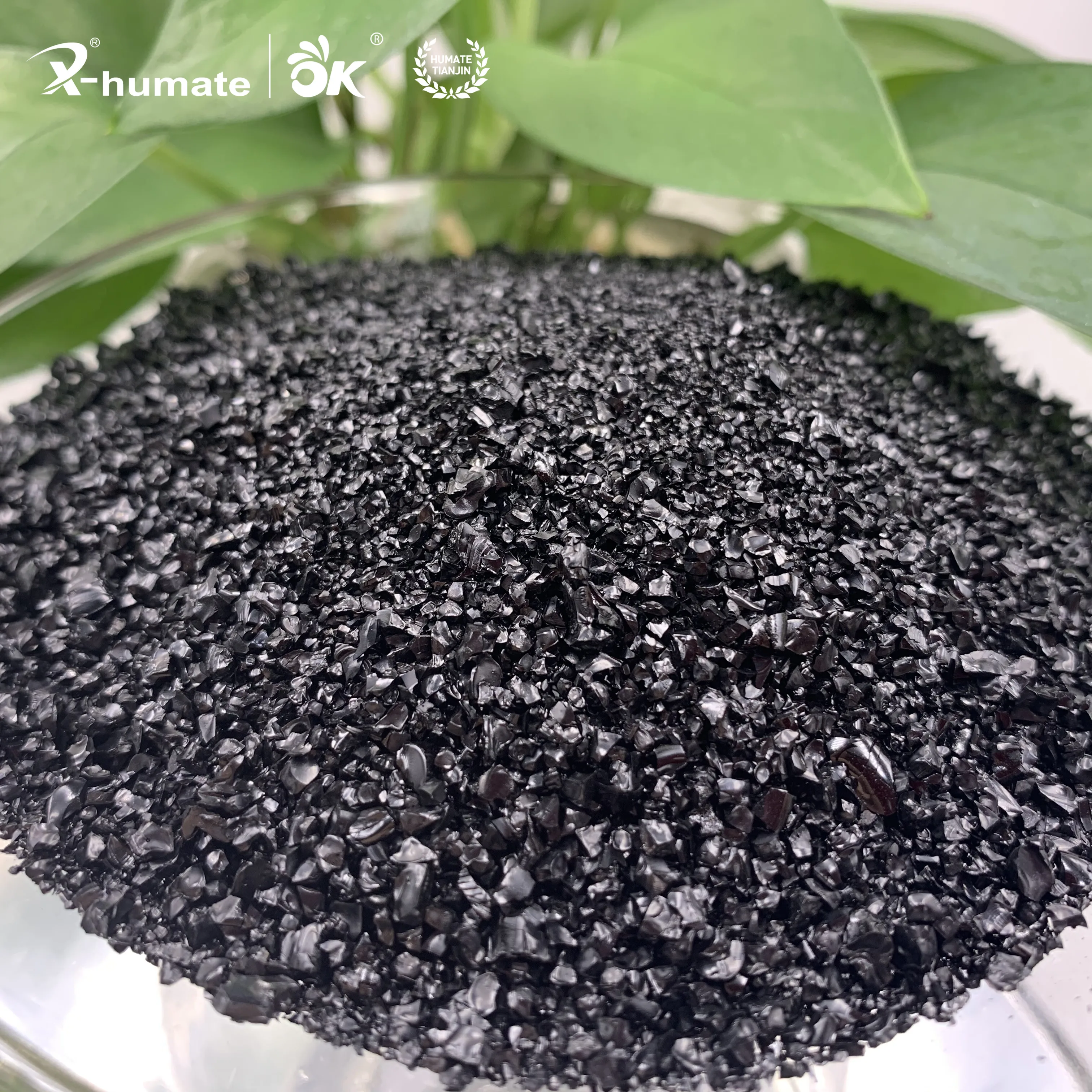X-humate ISO Factory Supply Mineral Source Potassium Fulvic Acid Granular