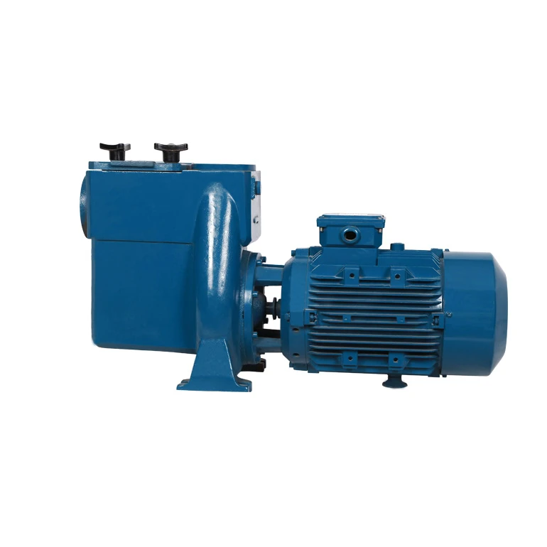 Acero inoxidable bomba d agua alta prescion piscina filtracion bombear