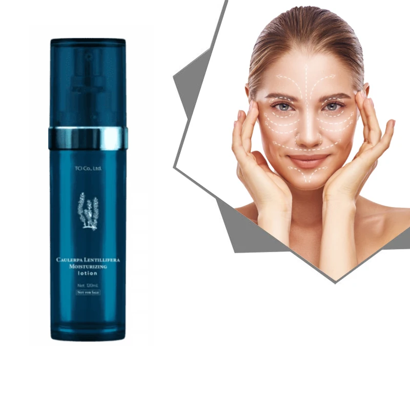 Low Price Sea Grape Facial Whitening Lotion Anti Sugar Smooth Skin Lotion