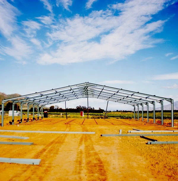 Low cost light steel structure poultry farm electric control chicken shed for sale