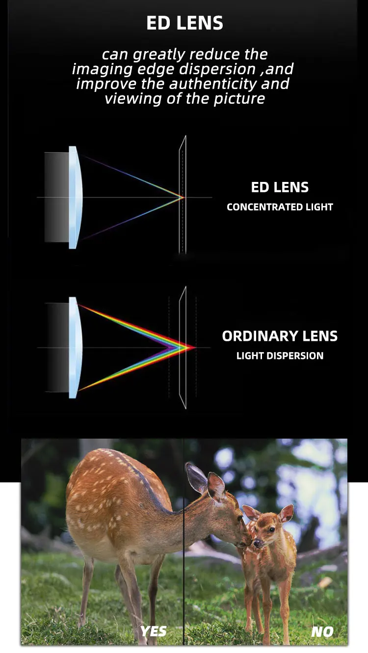 China Professional Nitrogen ED Binoculars 8x32 10x32 Waterproof Telescope Ed Binoculars for Sightseeing Hiking