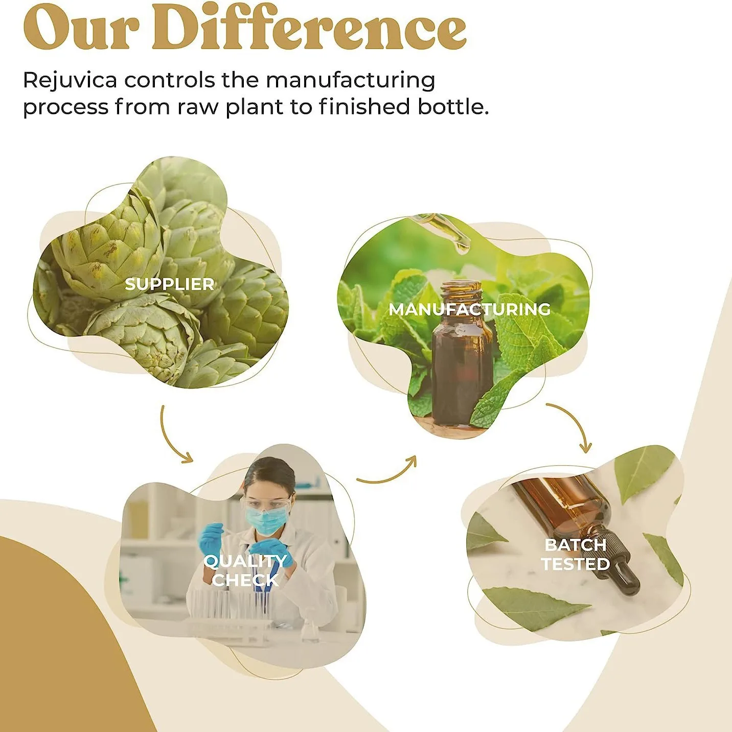 Private Label Organic Maca Root Liquid Drops Wild-Cultivated Herbal Supplement Energy Boost High Strength Maca Drops Vitamin