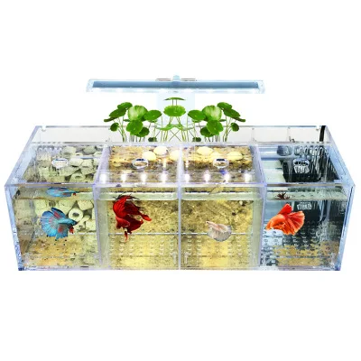 Isolation aquarium acrylic Ecology small fish tank LED goldfish bowl
