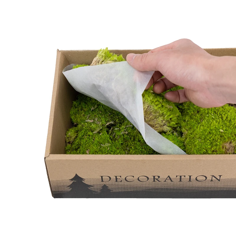 Premium Natural Green Decorative Real Pillow Moss Bun Moss Preserved Pole Moss musgo preservado