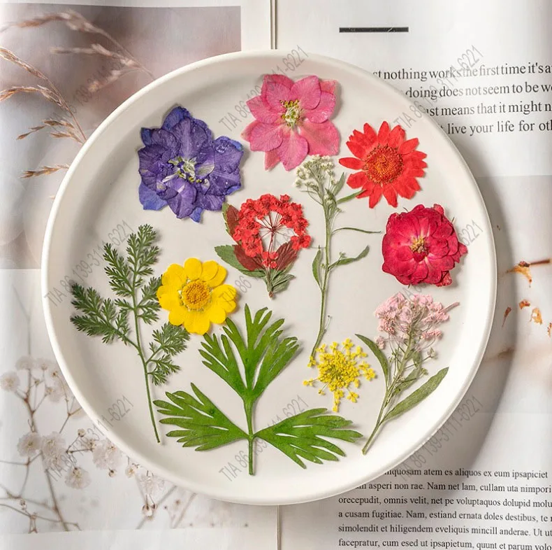 cheap 28pcs Pressed Flowers Dried Flowers for Resin Decor Crafts, Natural Dry Flowers Leaves Bulk Kit for DIY Scrapbook, candles