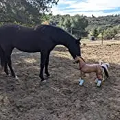 inflatable toy animal horse balloon giant inflatable toys birthday decoration Pool party decor scary pony toy for kids