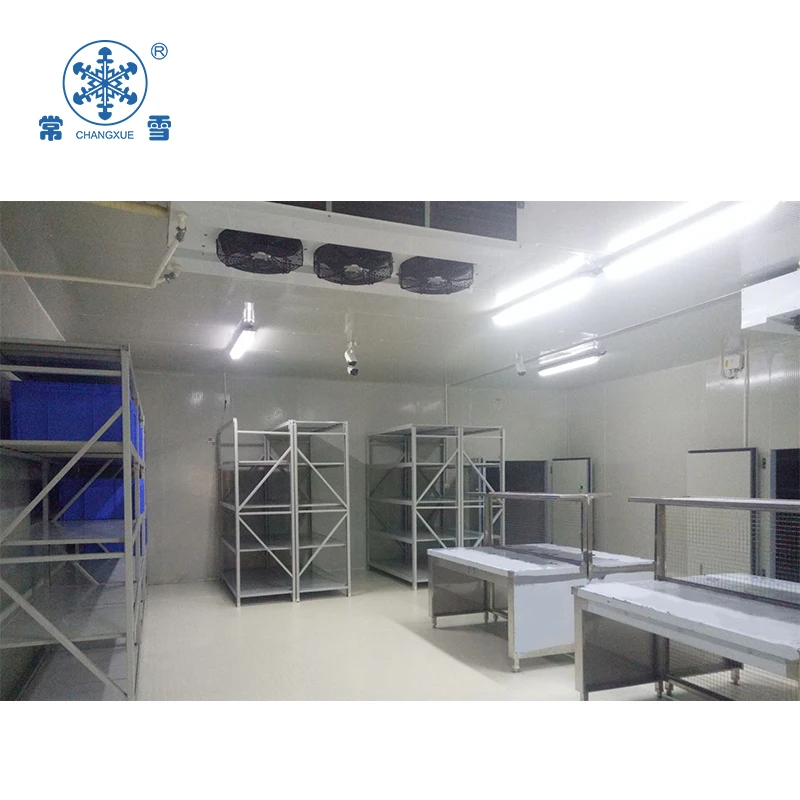 2022 cold storage room for subtropical fruits and vegetable cool room