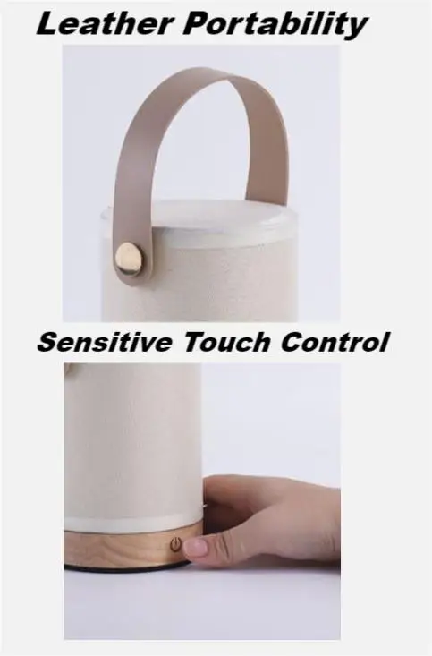 portable desk light.jpg
