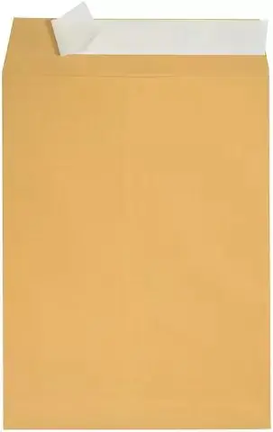 Manufacturing of High Quality Brown Kraft Paper Envelopes with High Quality Printing in China Customized Envelope Packaging