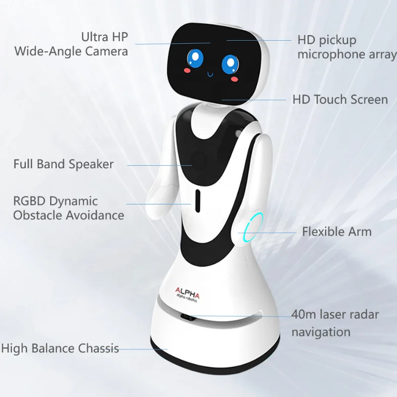 Robot Manufacturer Commercial Reception Robot Intelligent Interaction Reception Robot For Shopping Hall