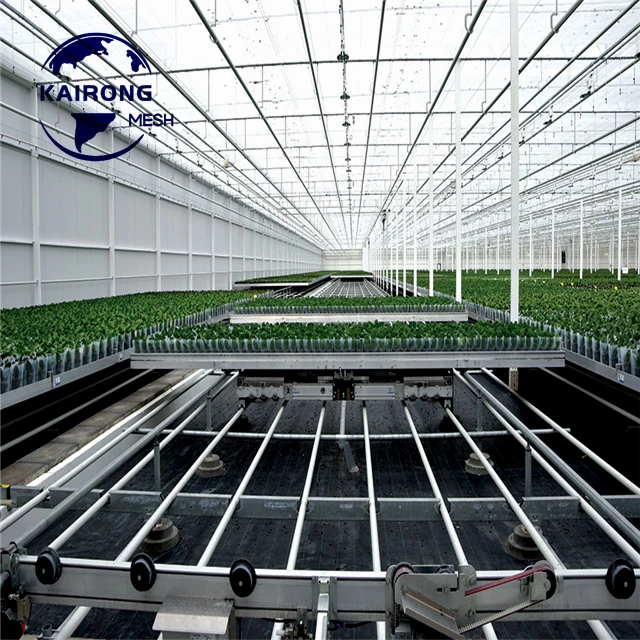 Good Quality And Best Price Grow Tray Hydroponic Systems Flood For