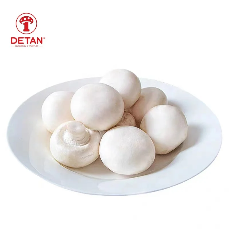 Fresh white botton mushrooms,&green and healthy wholesale and retail or process