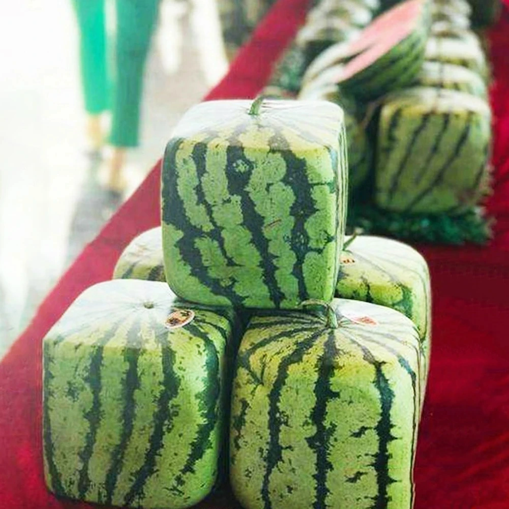 fruit mold watermelon (4).jpg
