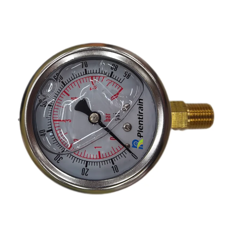 Stainless steel Industrial high accuracy glycerin BSP pressure gauge With glyserine 63/10 bar for agriculture