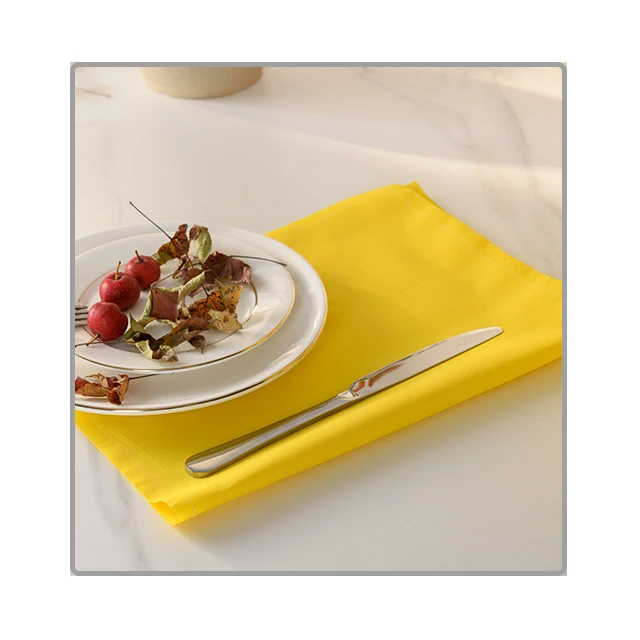 Table Cloth and Napkin Set and Coaster Unconventional New Patent Tear Off Napkin