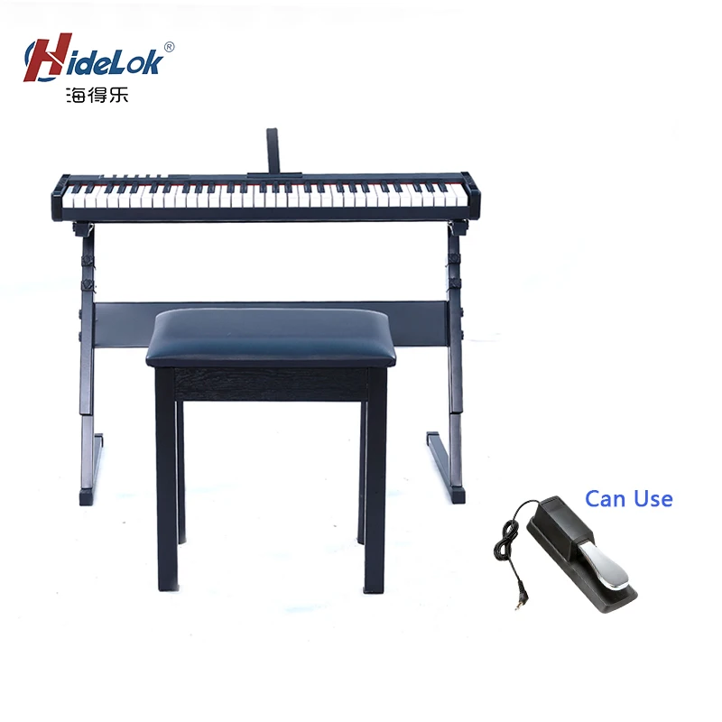 Professional Digital Electronic Piano 61 Key China Teclado De Piano Digital (DP61)