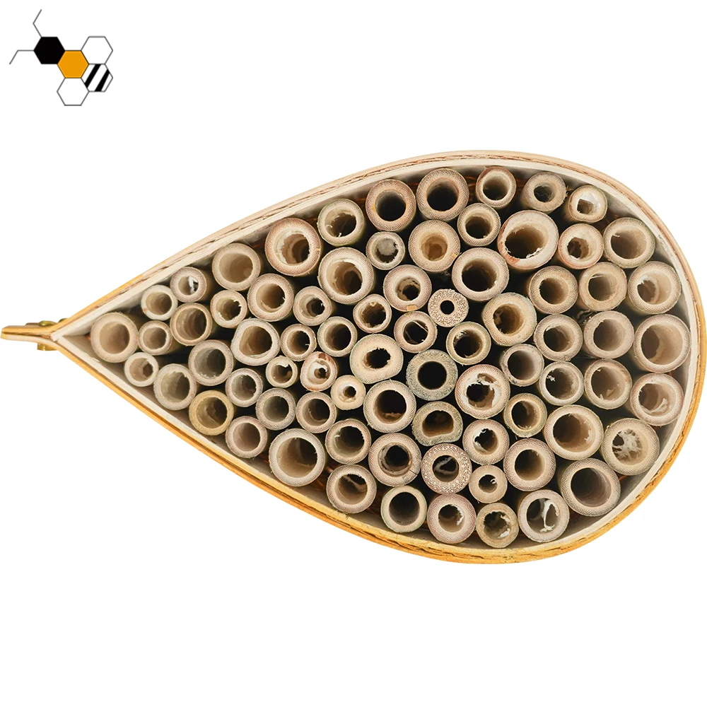Hot sale bamboo mason bee hive mason bee house