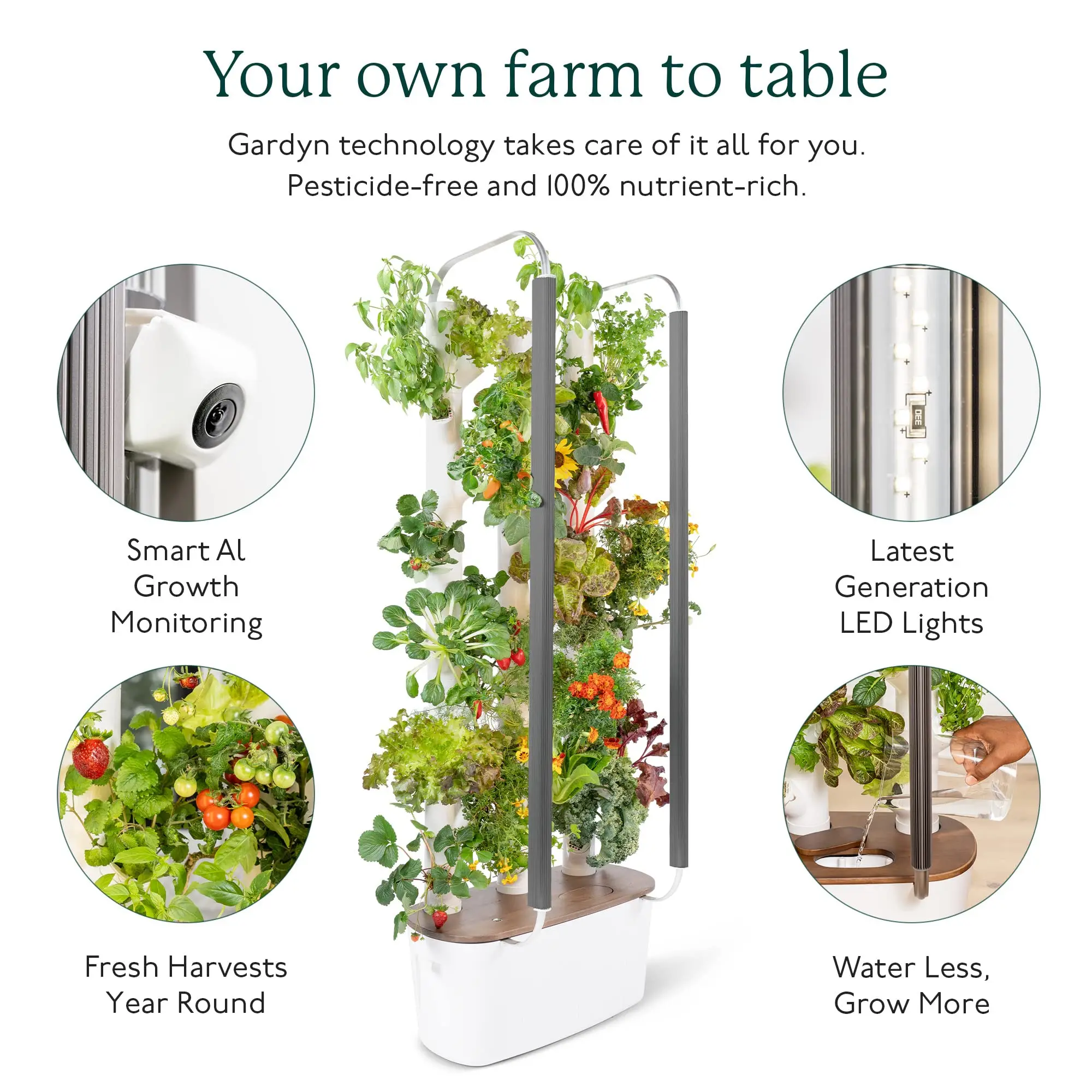Hot Selling Gardyn Herbs Vegetables Hydroponics Growing System Best Way To Grow Herbs Inside