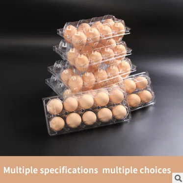 High Quality Multi-Colored Convenient Plastic Circle  Eggs Boxes for Food Shop/Restaurant