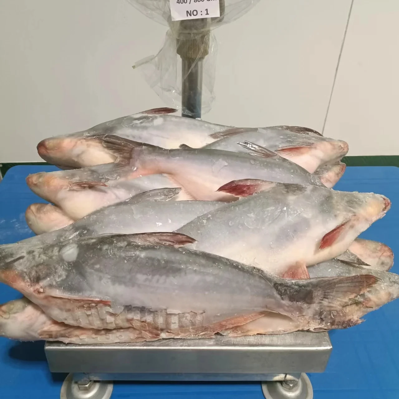Export Standard  Frozen Vietnam basa fish  pangasius from Mekong Whole Fish Malaysia Frozen Fish Basa High Quality