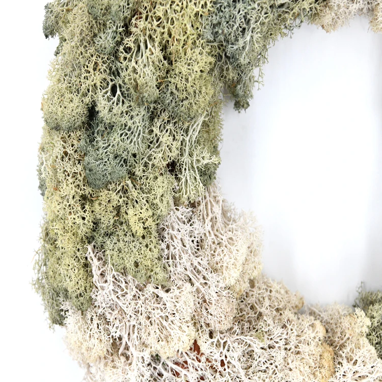 New design two colors spliced moss wreaths grayish green preserved moss garland natural moss wreath