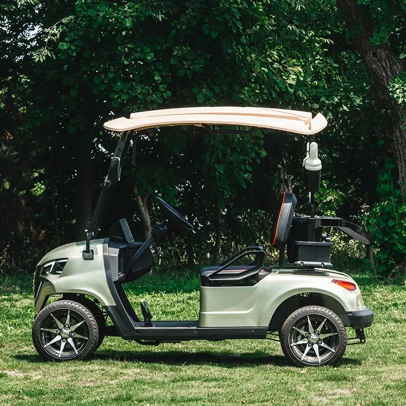 New Design golf electric car 2 Cortex seater golf club application golf car with Front Basket