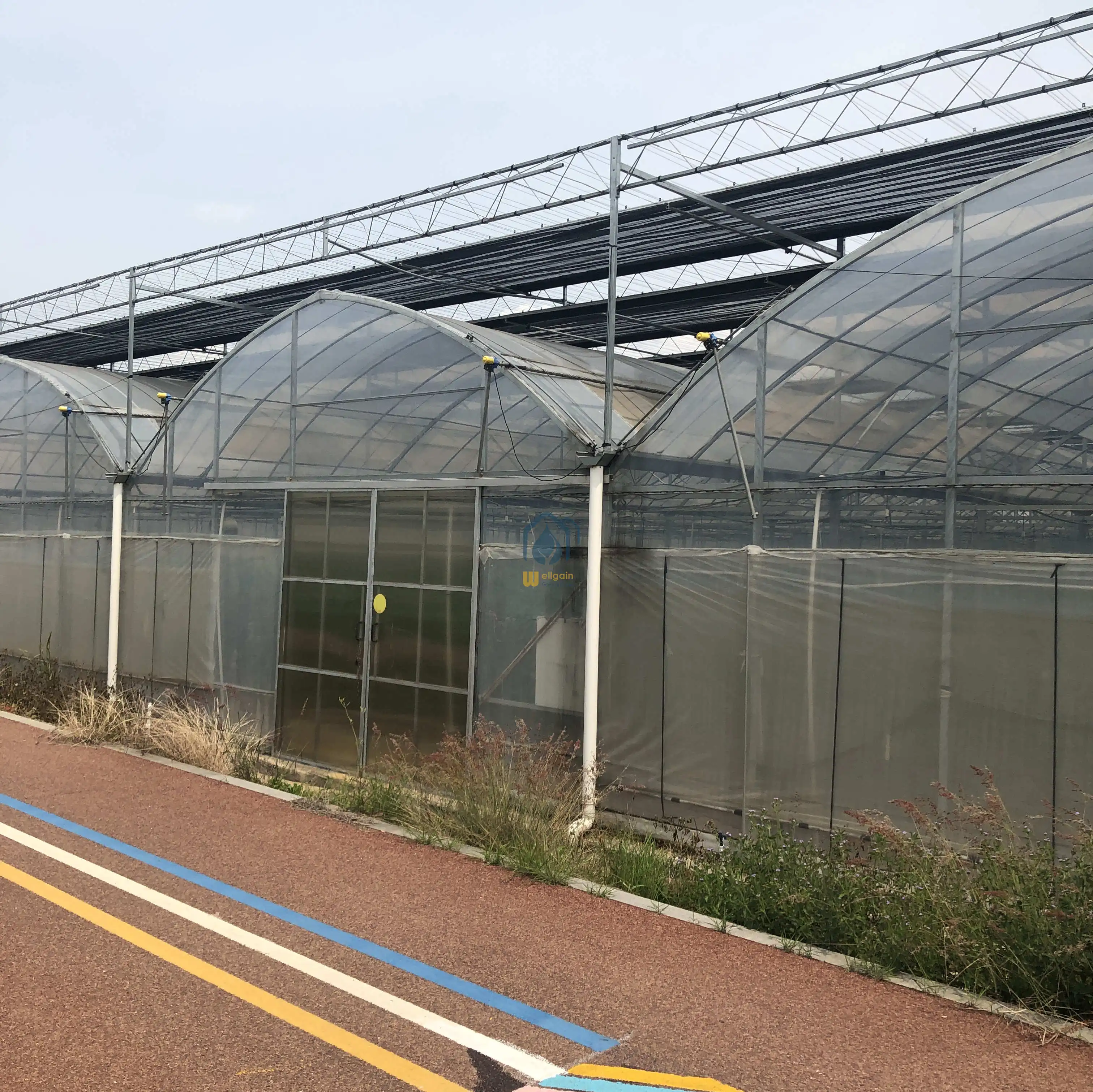 The Cheapest and Easily Installed Agricultural/ Commercial Green House