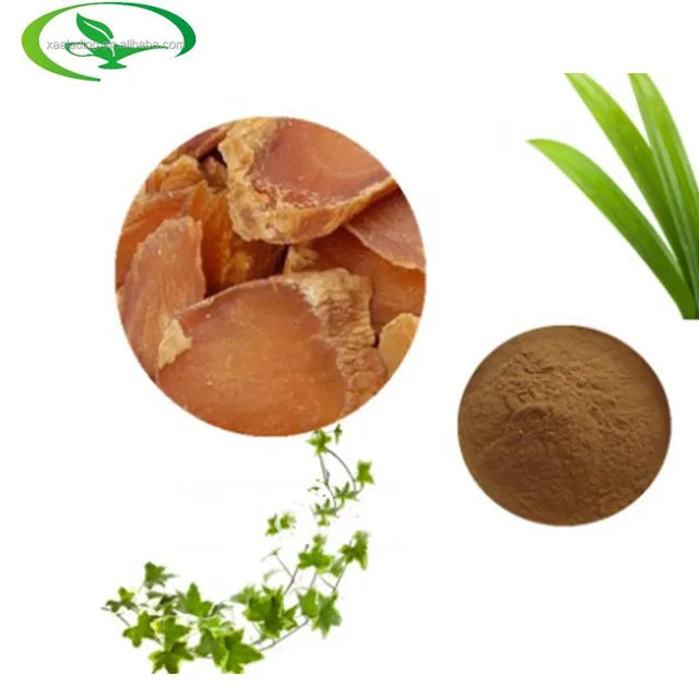 Factory Supply High Quality Ginseng Root Extract Panax Ginseng Extract Ginsenosides Powder