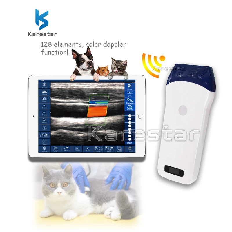 Pocket size Veterinary WIFI USB linear portable wireless ultrasound probe