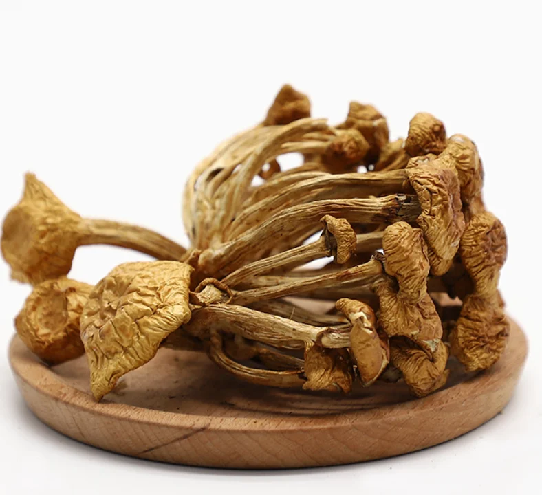 Huazigu Wholesale Cultivation Pholiota Nameko Dried Pholiota Microspora Mushroom