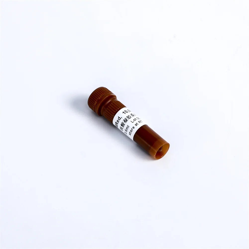 DSRed Nucleic Acid Stain, non-toxic gel dye 0.5ml M7021